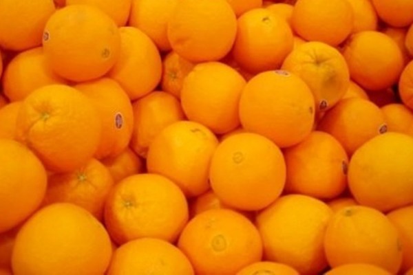 Υποχρεωτική η  «βούλα» σε πορτοκάλια με συντηρητικά